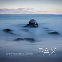 Lade das Bild in den Galerie-Viewer, PAX – Ensemble 96, Current Saxophone Quartet, Nina T. Karlsen