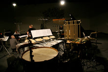 Load image into Gallery viewer, Eivind Buene: Possible Cities / Essential Landscapes - CIKADA