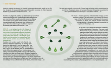 Lade das Bild in den Galerie-Viewer, Magnar Åm: SONaR - Ellen Sejersted Bødtker, Oslo Kammersolister, Hildegunn Riise, Grex Vocalis, Carl Høgset