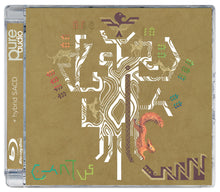 Lade das Bild in den Galerie-Viewer, YGGDRASIL - Cantus, Tove Ramlo-Ystad