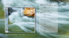 Lade das Bild in den Galerie-Viewer, The Trondheim Concertos - Sigurd Imsen & Baroque Ensemble of the Trondheim Symphony Orchestra