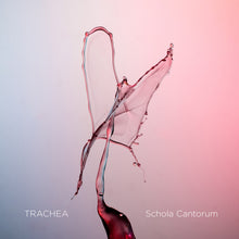Lade das Bild in den Galerie-Viewer, TRACHEA - Schola Cantorum, Tone Bianca Sparre Dahl, Bjørn Kåre Odde, Frøy Aagre