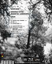 Load image into Gallery viewer, Eivind Buene: Possible Cities / Essential Landscapes - CIKADA