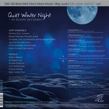 Last inn bildet i gallerivisningen, Quiet Winter Night – an acoustic jazz project – Hoff Ensemble
