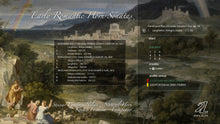 Lade das Bild in den Galerie-Viewer, Early Romantic Horn Sonatas - Steinar Granmo Nilsen, Kristin Fossheim
