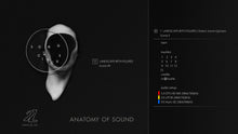 Last inn bildet i gallerivisningen, Anatomy of Sound - Song Circus
