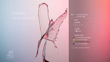 Load image into Gallery viewer, TRACHEA - Schola Cantorum, Tone Bianca Sparre Dahl, Bjørn Kåre Odde, Frøy Aagre
