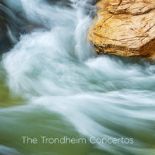Load image into Gallery viewer, The Trondheim Concertos - Sigurd Imsen &amp; Baroque Ensemble of the Trondheim Symphony Orchestra
