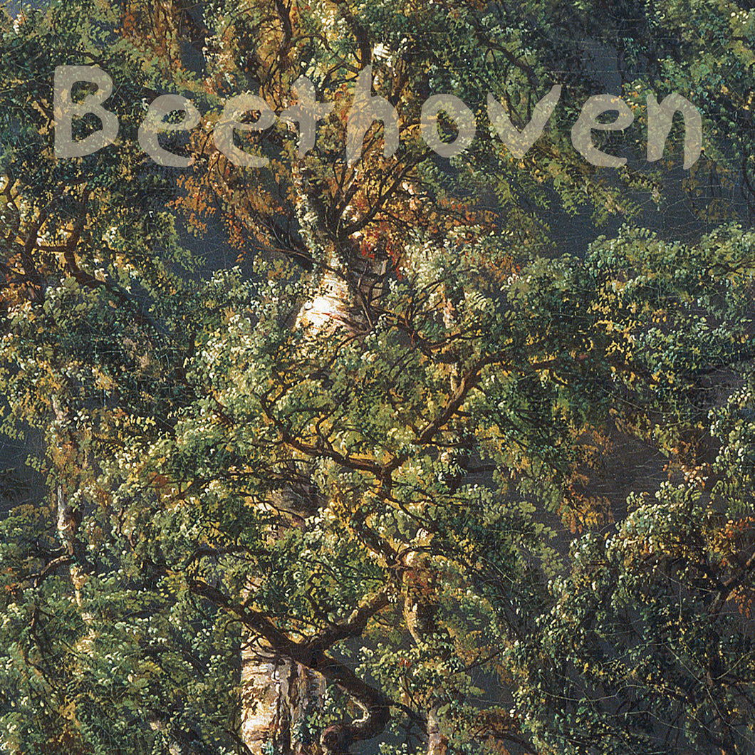 Beethoven sonatas for fortepiano and cello, vol I - Kristin Fossheim, Bjørn Solum